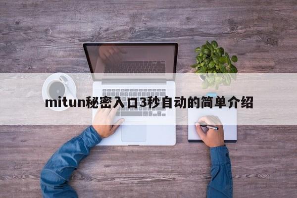 mitun秘密入口3秒自动的简单介绍